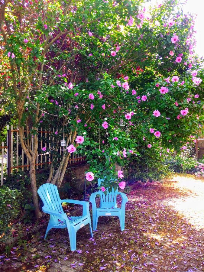 ホテル Casa Emilia Marano Principato エクステリア 写真