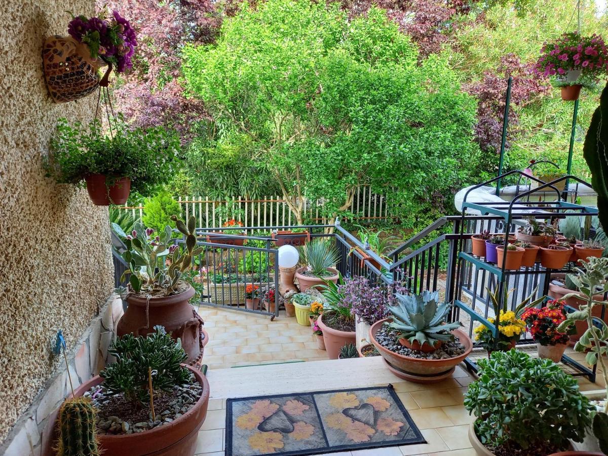 ホテル Casa Emilia Marano Principato エクステリア 写真