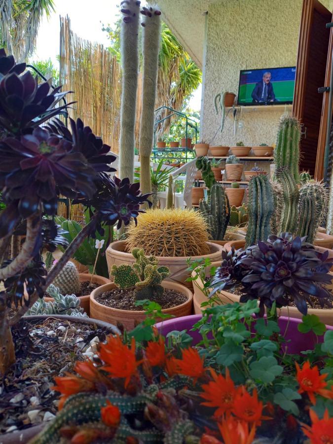 ホテル Casa Emilia Marano Principato エクステリア 写真